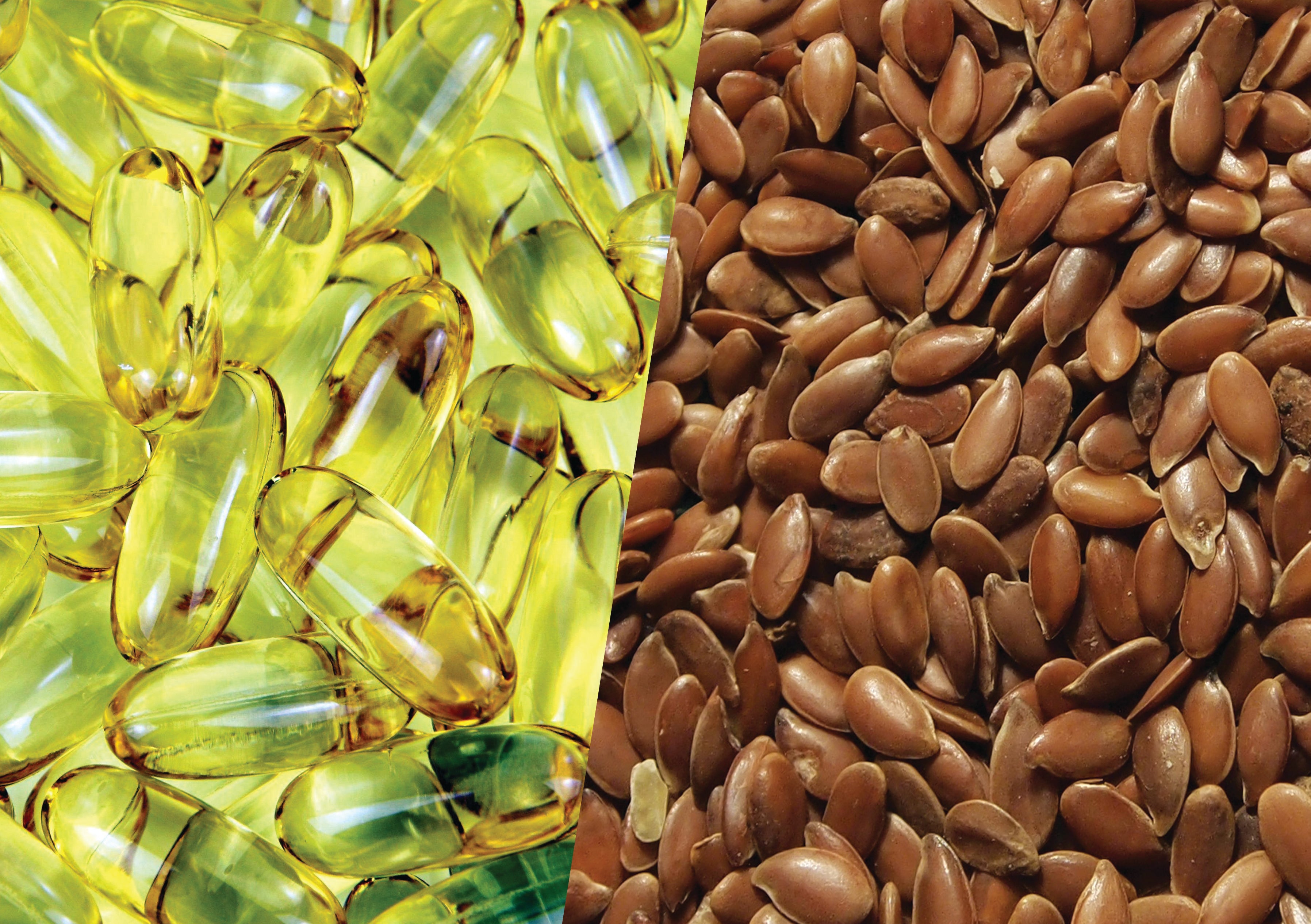 Fish Oil vs Flax Oil The Herb Farm